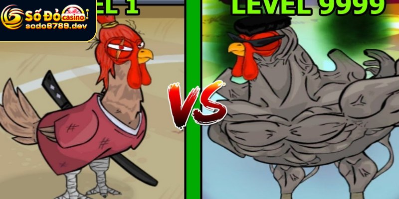 Giới thiệu chung và chi tiết về Aog đá gà