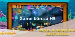 Bắn cá H5