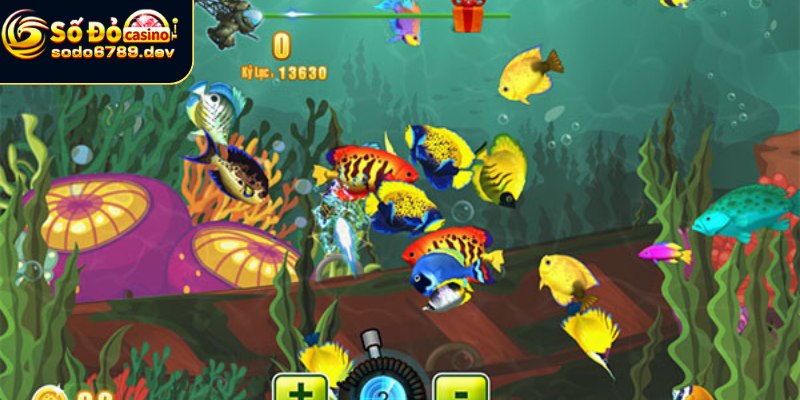 Bắn cá đang là trào lưu phổ biến