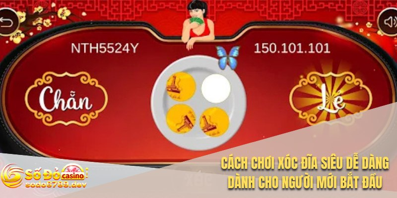 Cách chơi xóc đĩa