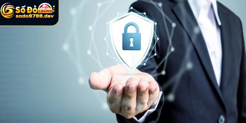 Quyền và nghĩa vụ của người tham gia nhà cái