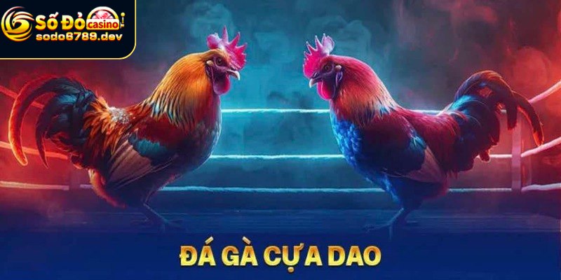 Đặc điểm và lịch sử đá gà cựa dao