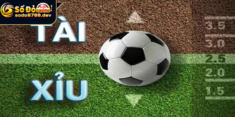 Kinh nghiệm tham gia đặt kèo tỷ lệ tài xỉu