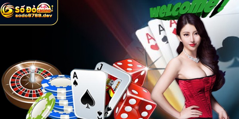 Tổng quan thông tin về Sodo6789